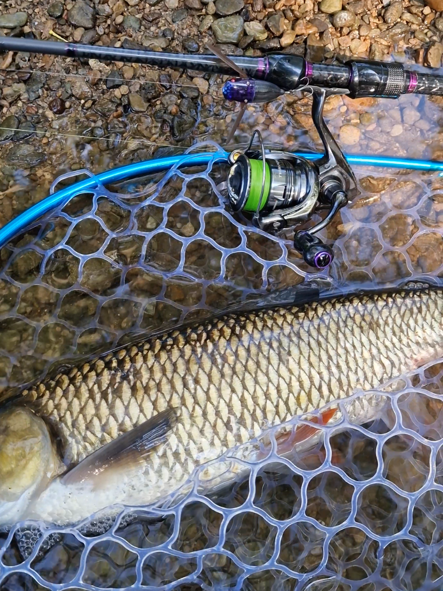 @BF Angler