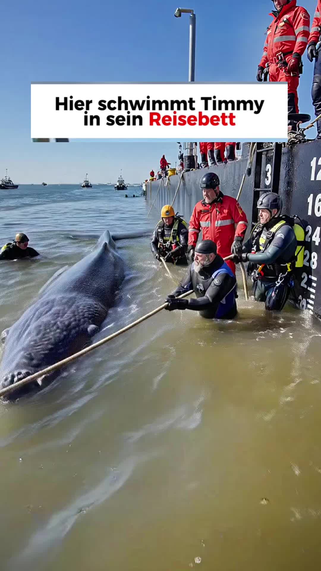 @Noticias r&aacute;pidas