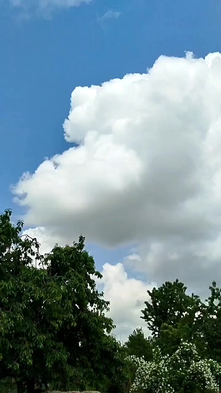 @ALEKSEYEVKA KƏND ✅