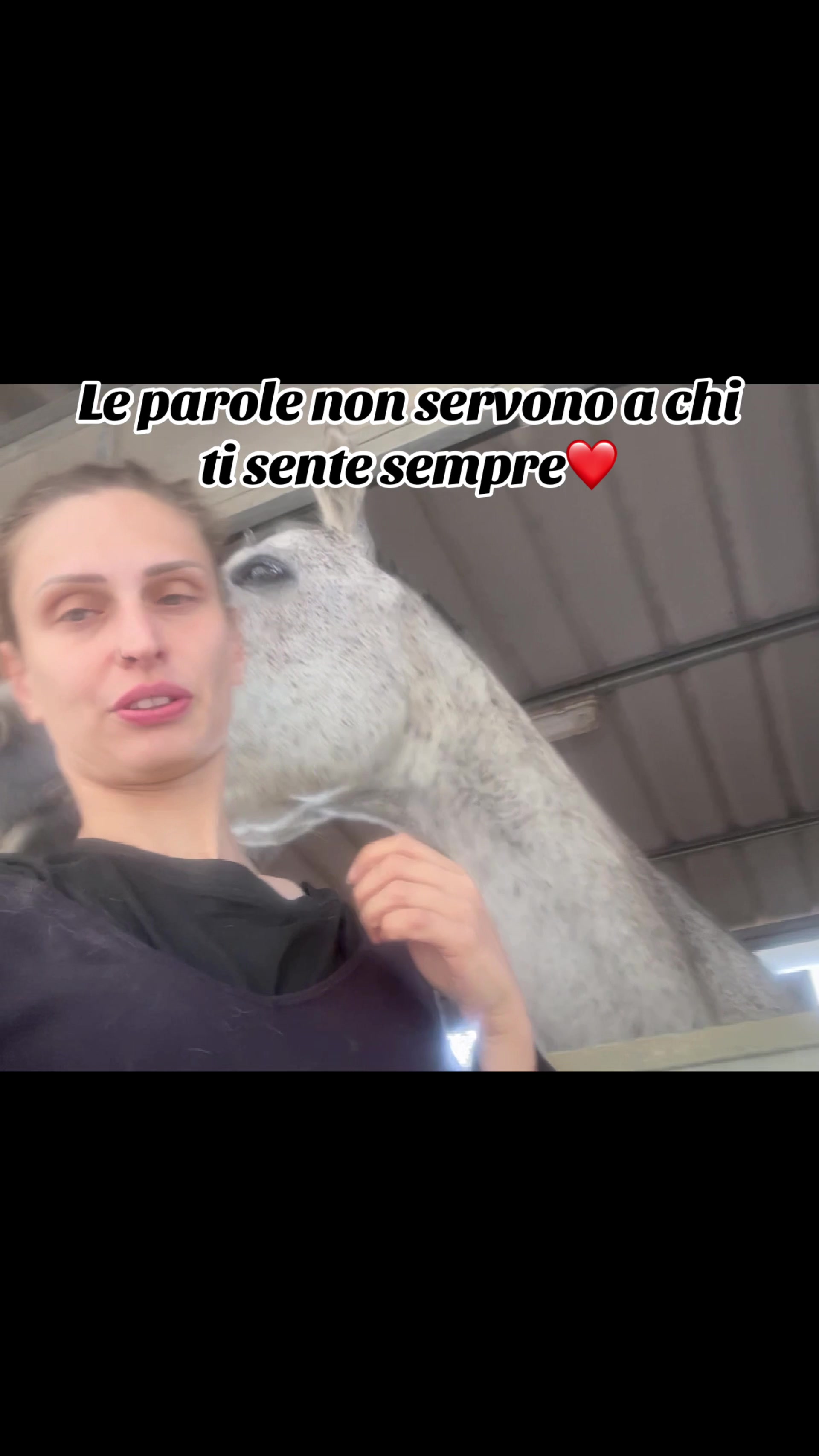 @Passione animali ❤️