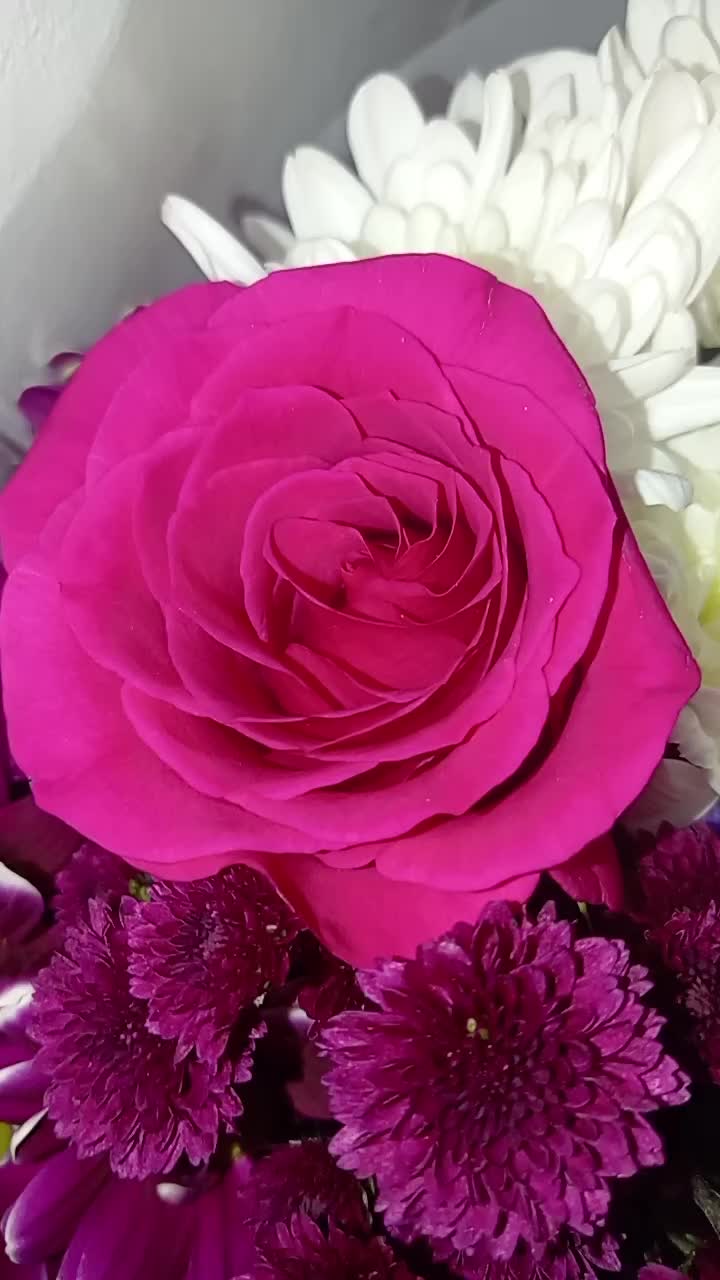 @Vnk Es ♡♡♡