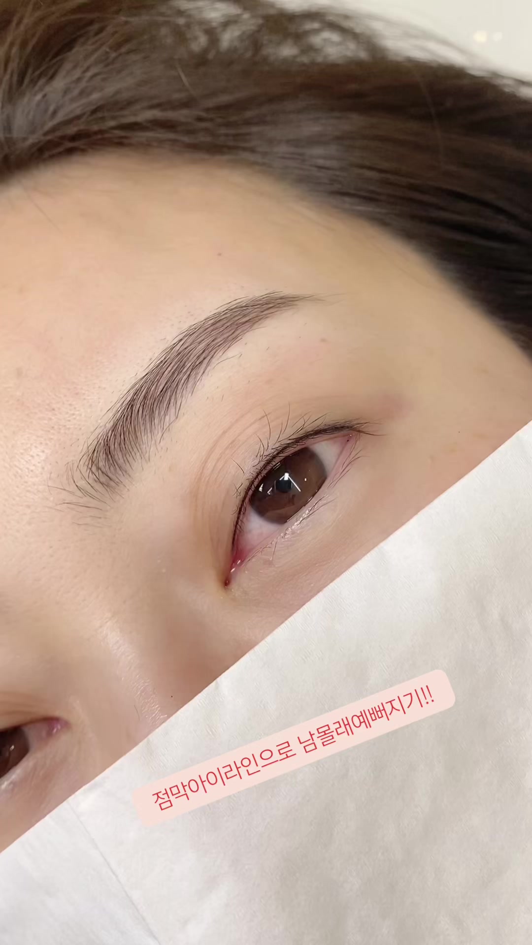 @sumami brow