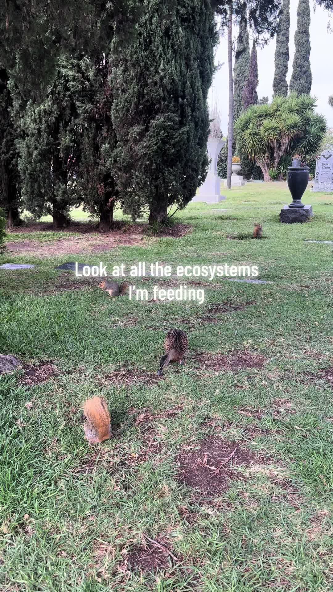 @sadsamo