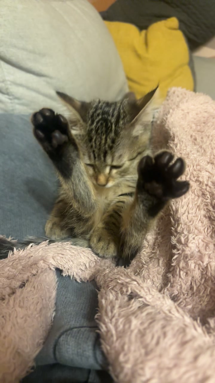 @𝐀𝐥𝐲𝐬𝐬
