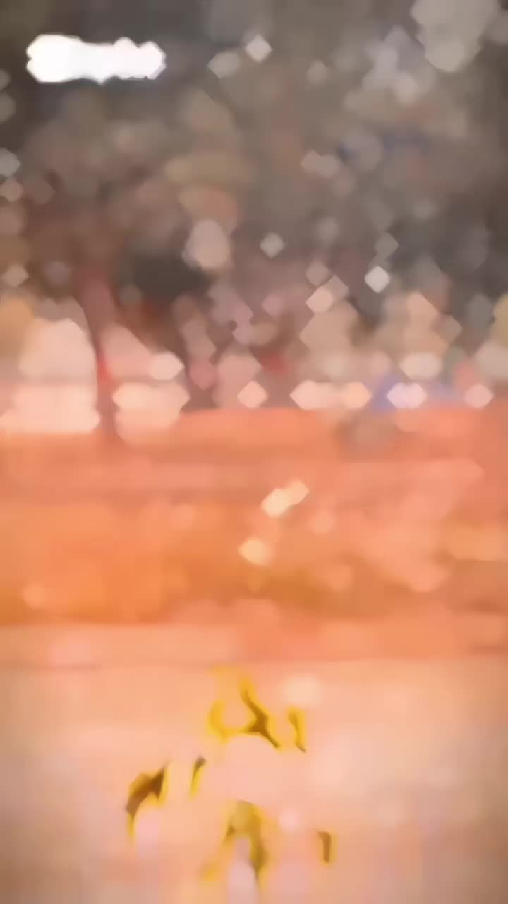 @✨𝔸𝕝𝕚 ℍ𝕒𝕞𝕫𝕒✨🖤