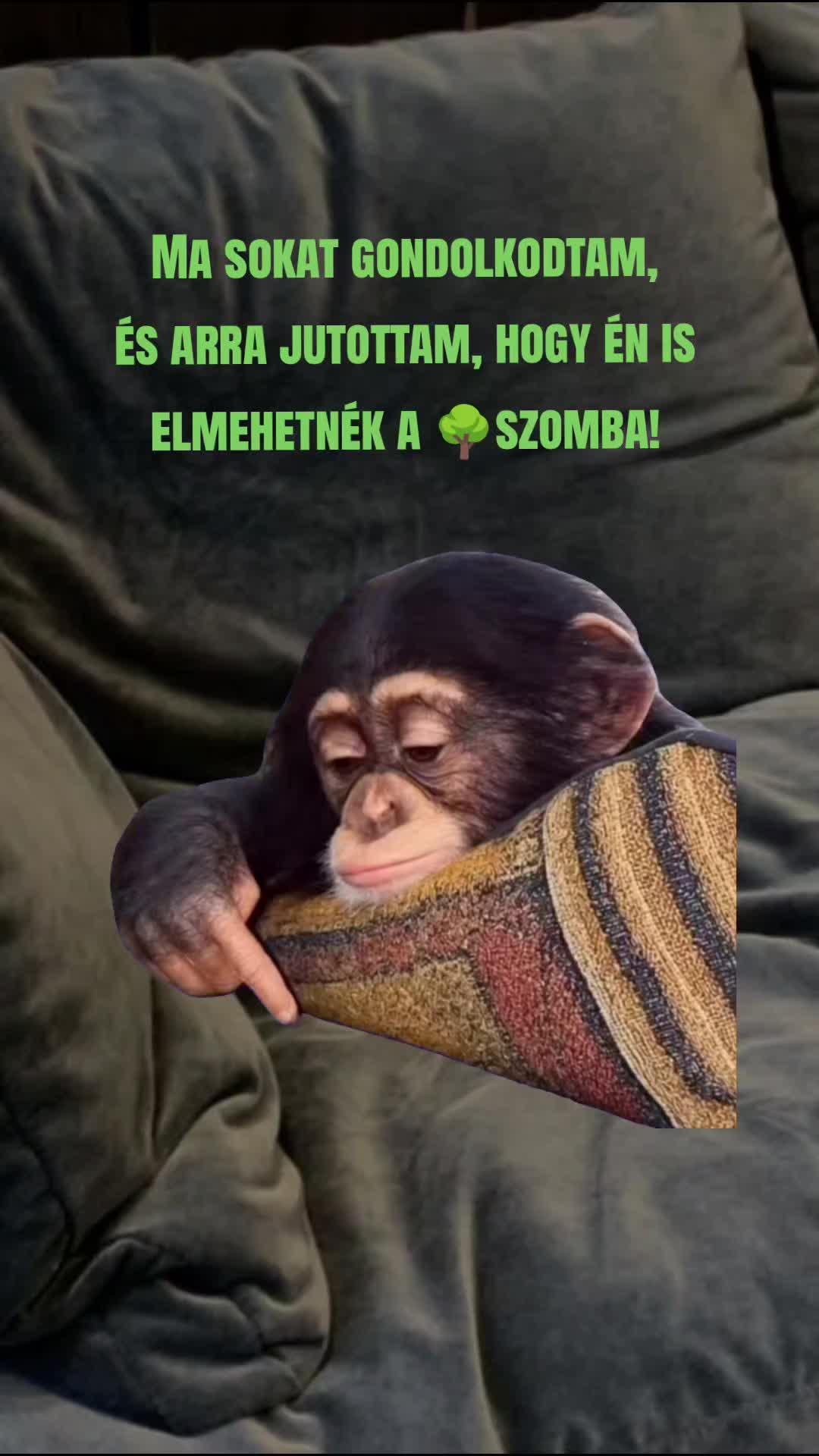 @Hódosi Ágnes 🇭🇺