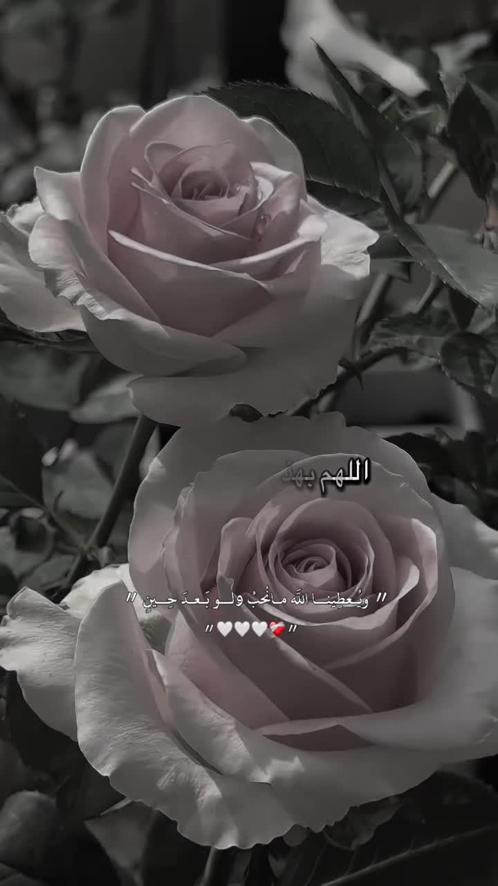 @R̷a̷m̷a̷ꨄ︎𐬠 ܩߺ𐬛ࡅࠦࡅࡅࡅߺܘ߳