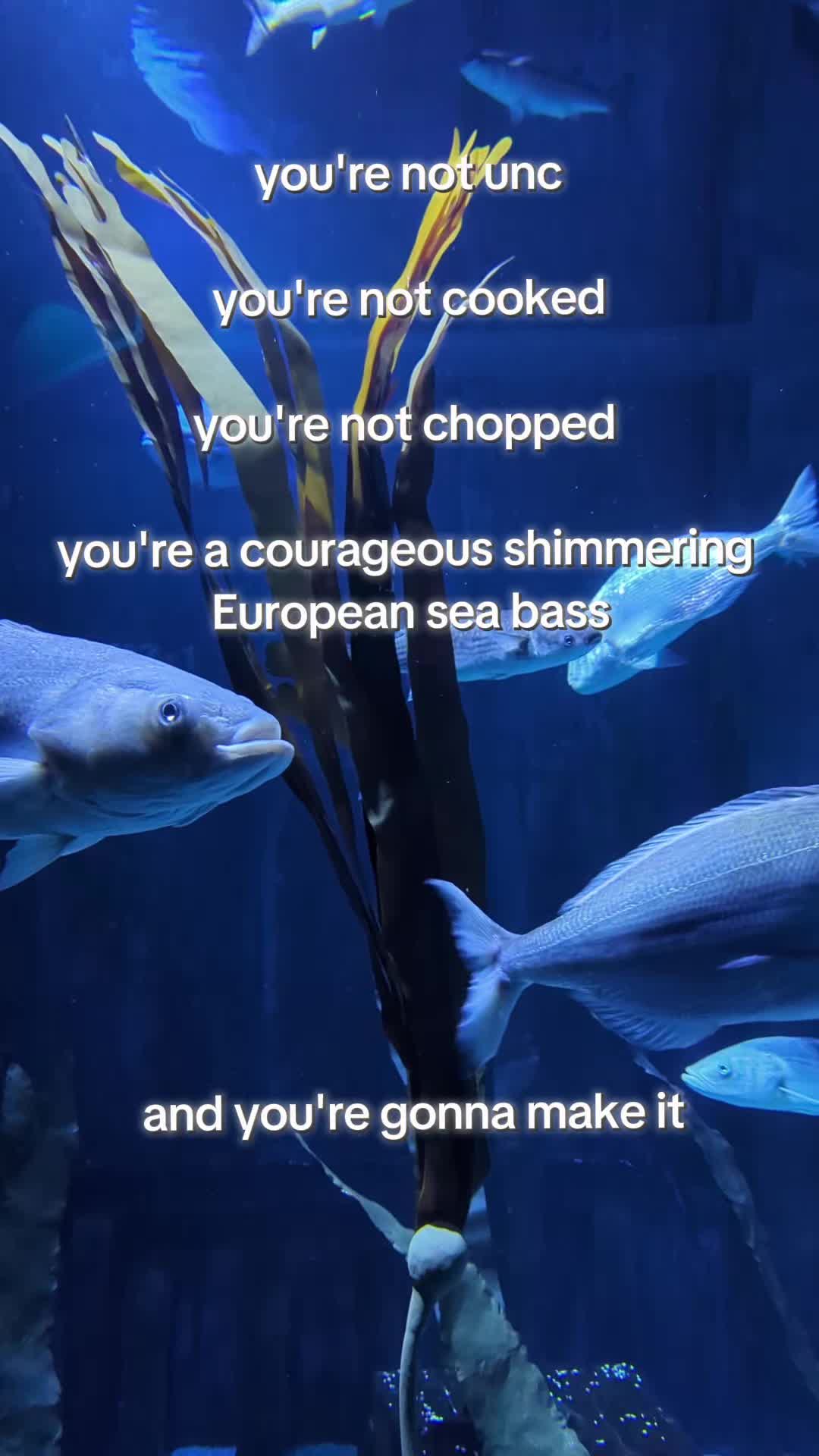@BristolAquarium