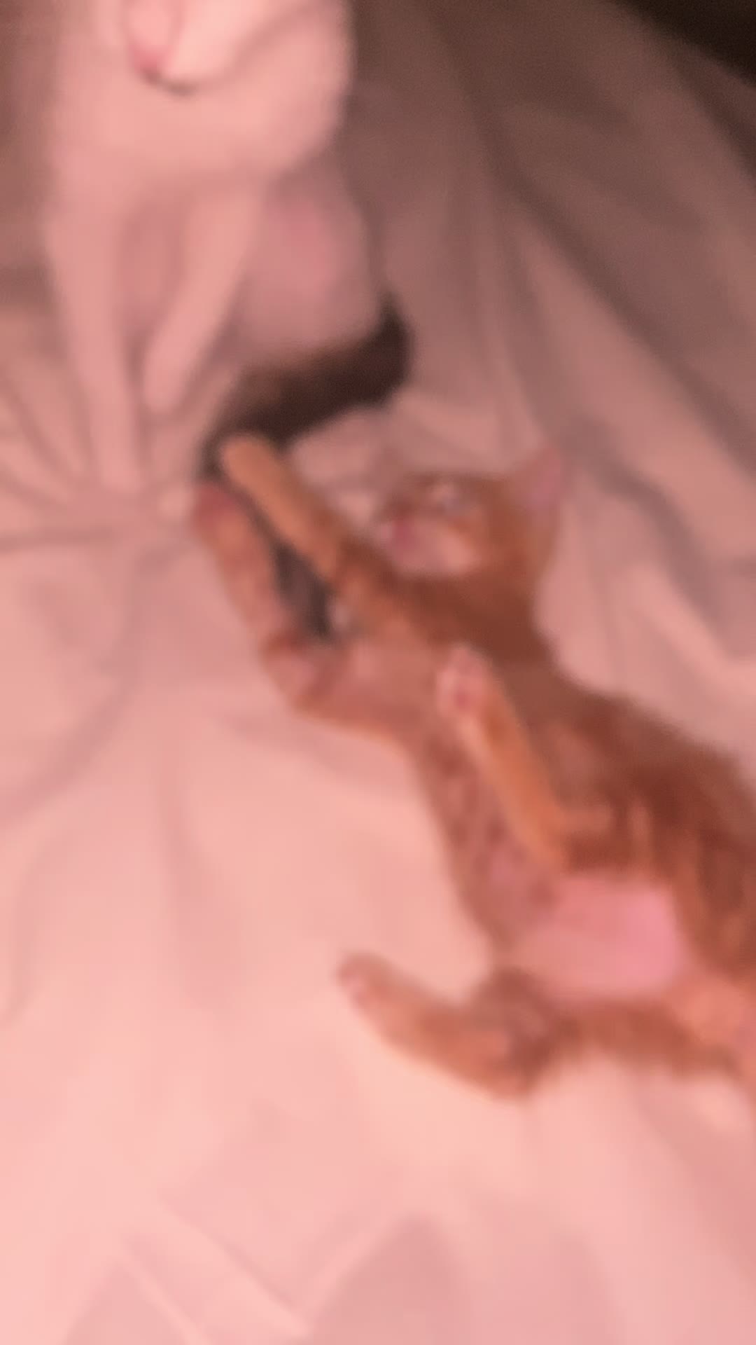 @Giorginaaaaaaaaaaaaaaaaaaaaaaa