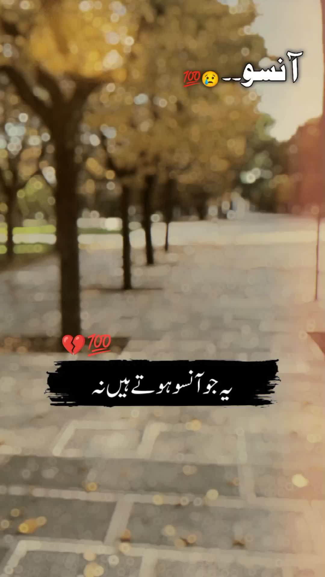 @🍂سرورِ عشق🫀