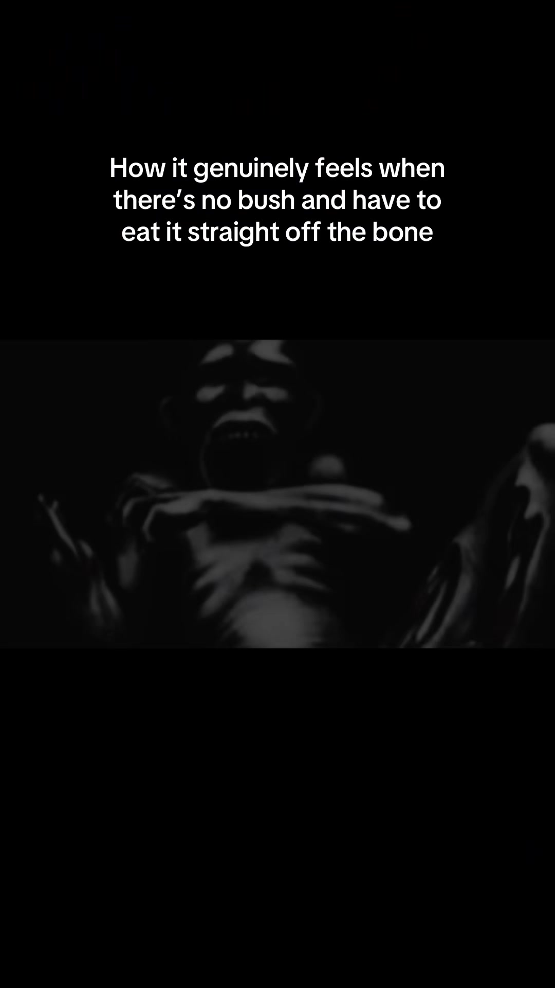 @bushvoid