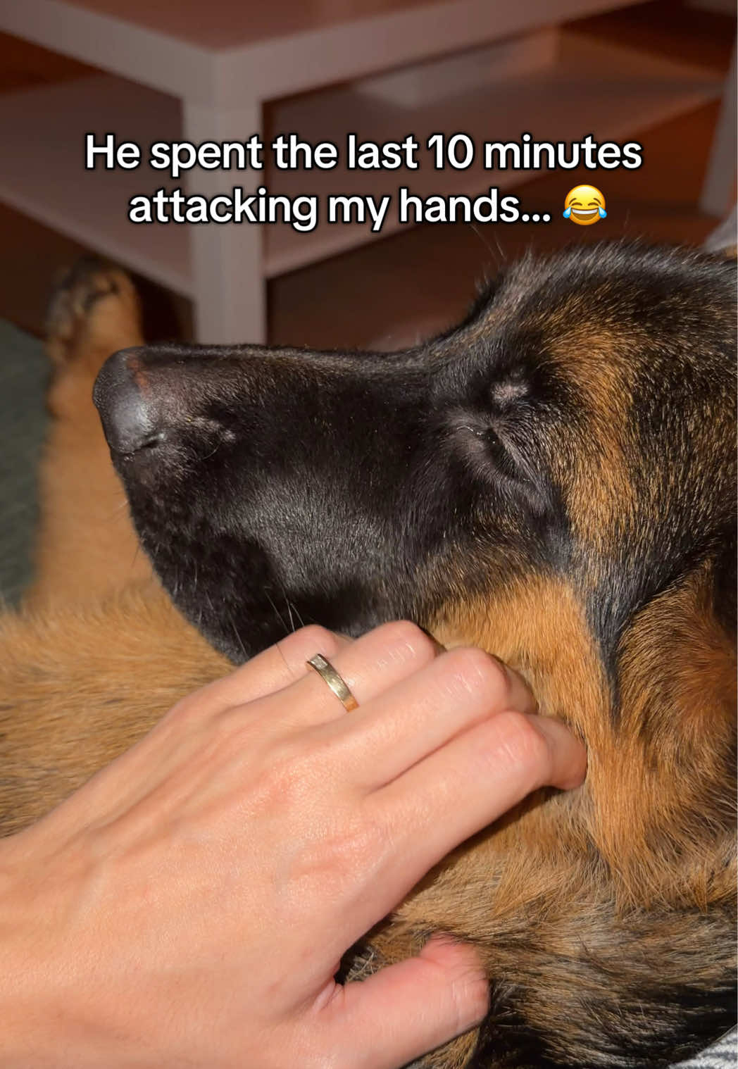 @gsd.kuba