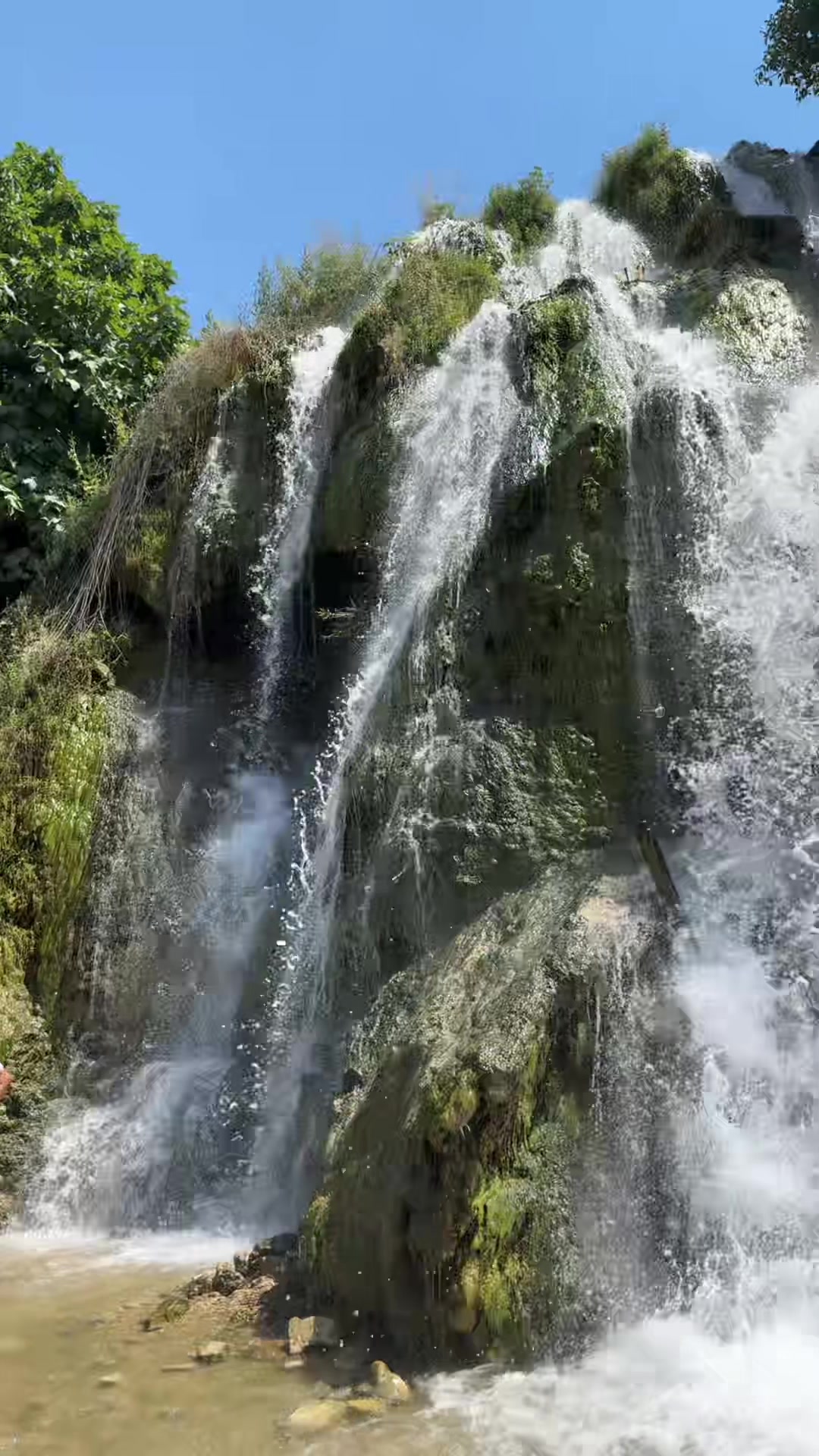 @Fgunes