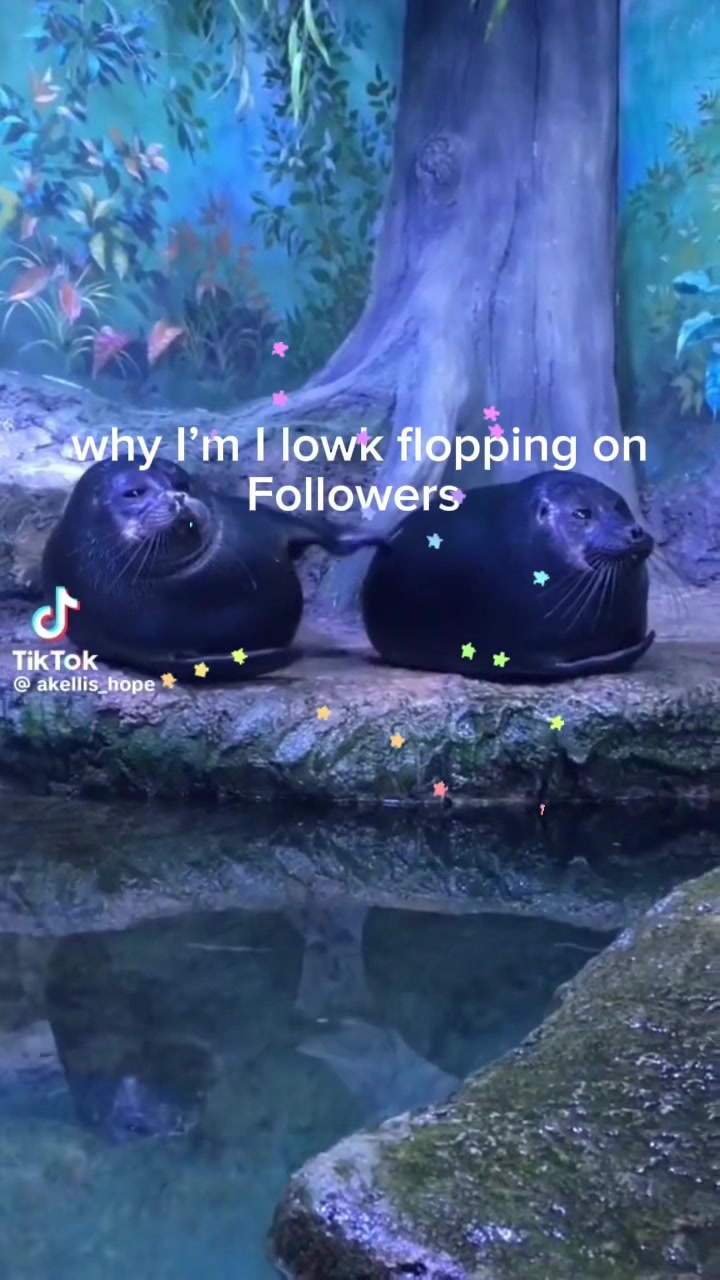 @BaikalSealHugger