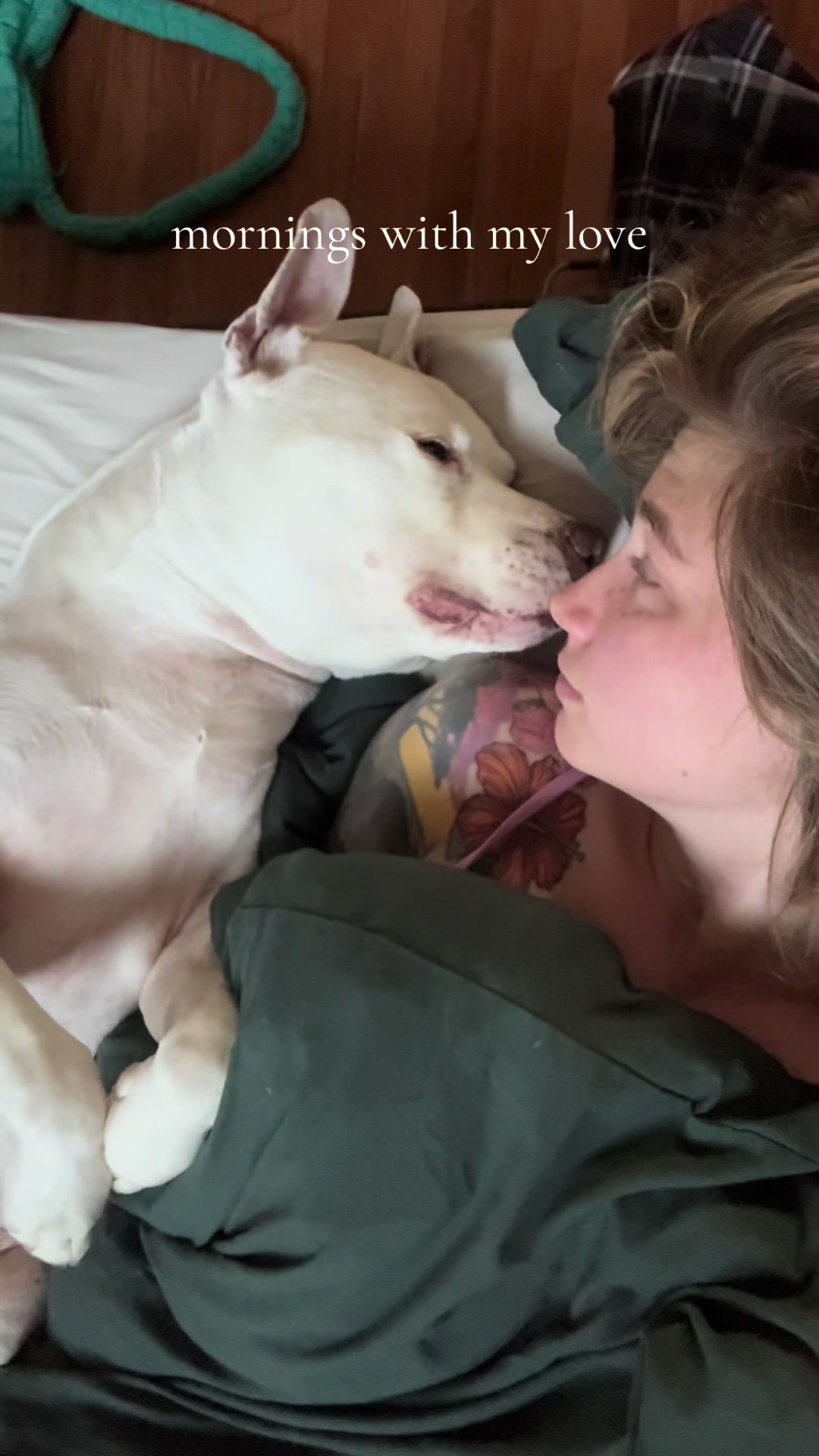 @DIOJI.the.DOG