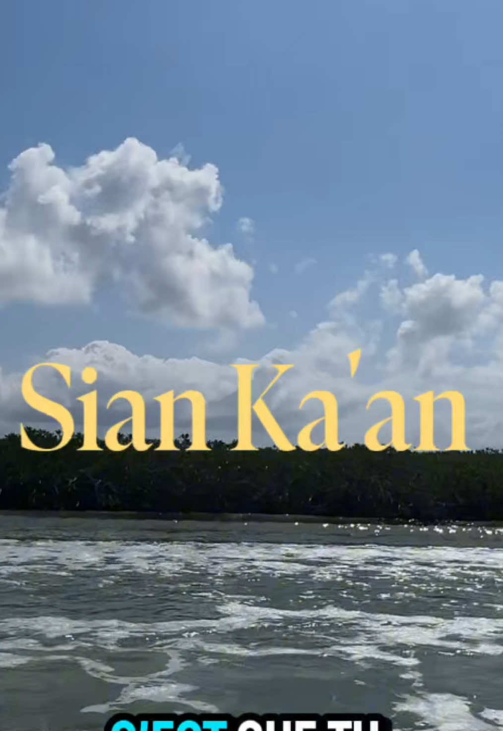 @xamanexperience