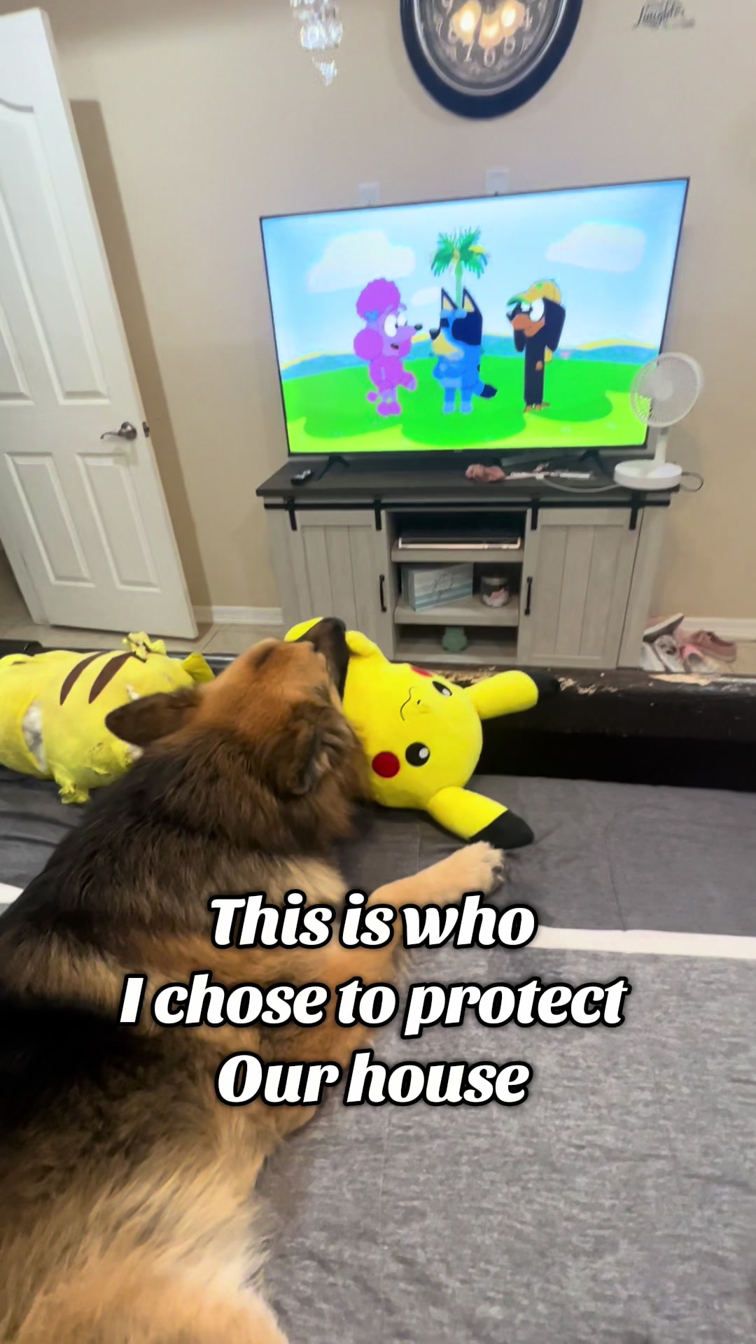 @Gunner GSD🐶