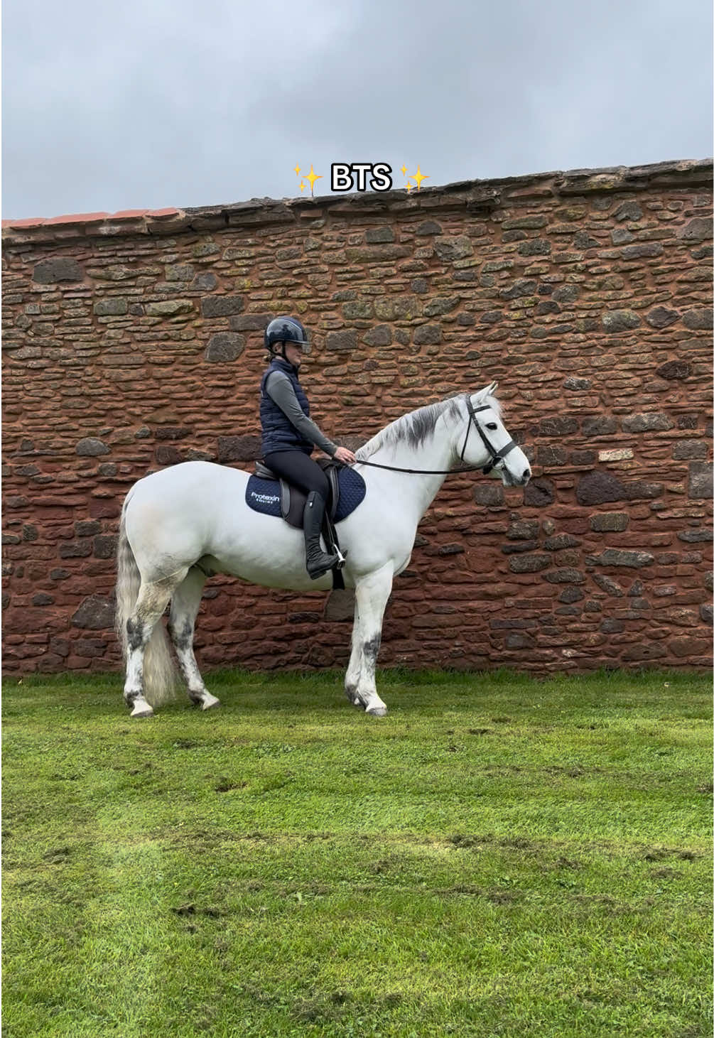 @Protexin Equine