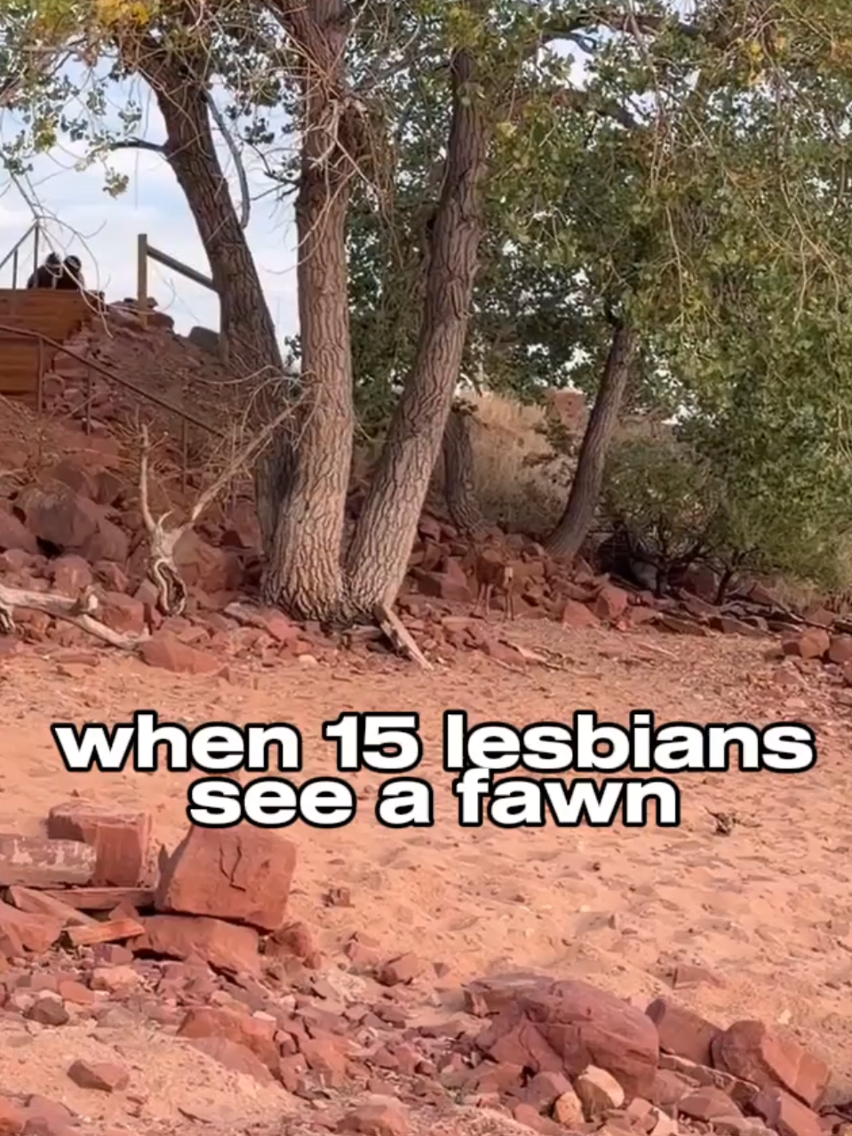 @Madeleine Johnson
