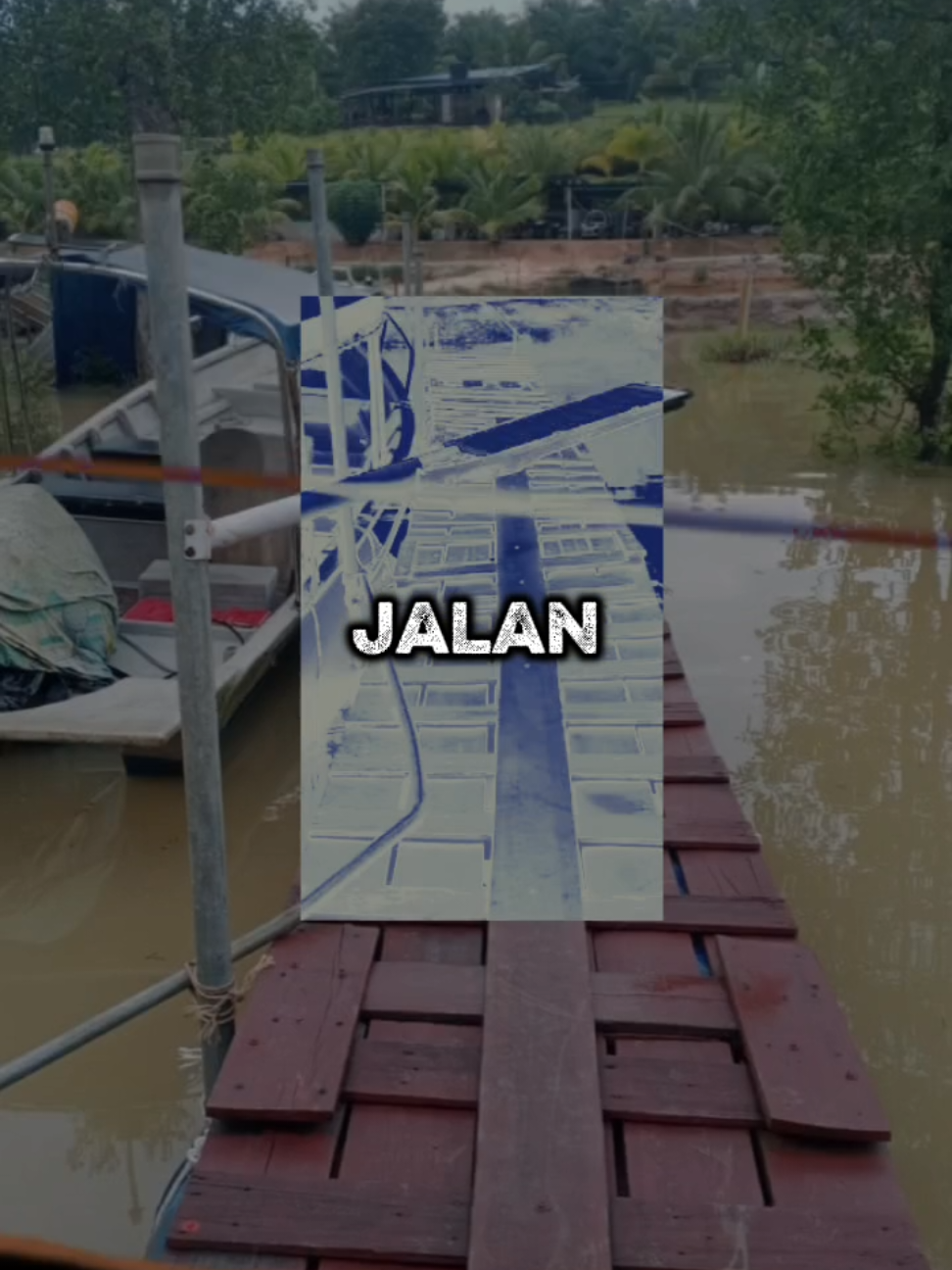 @Aini Lani