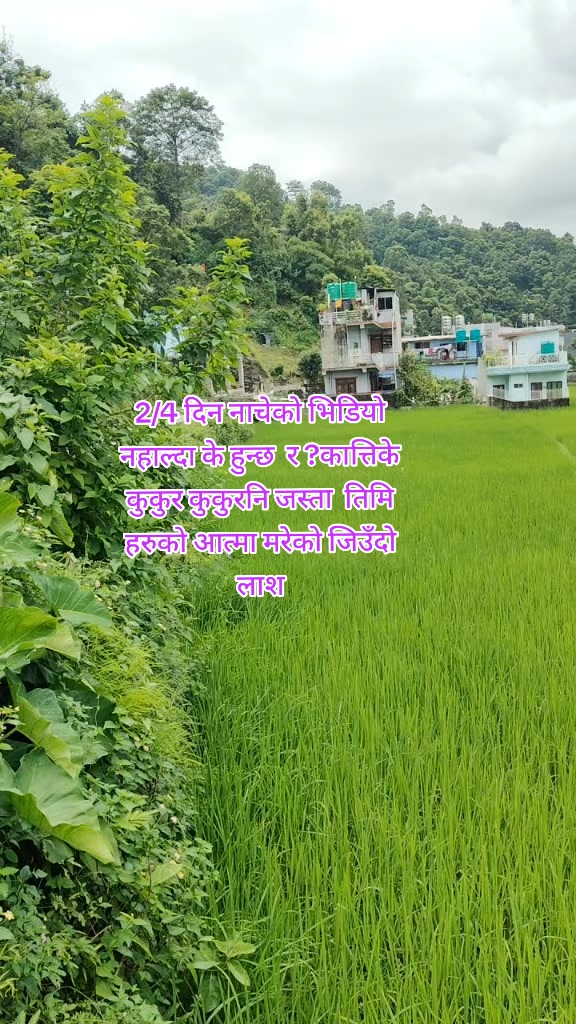 @Sumi Basnet