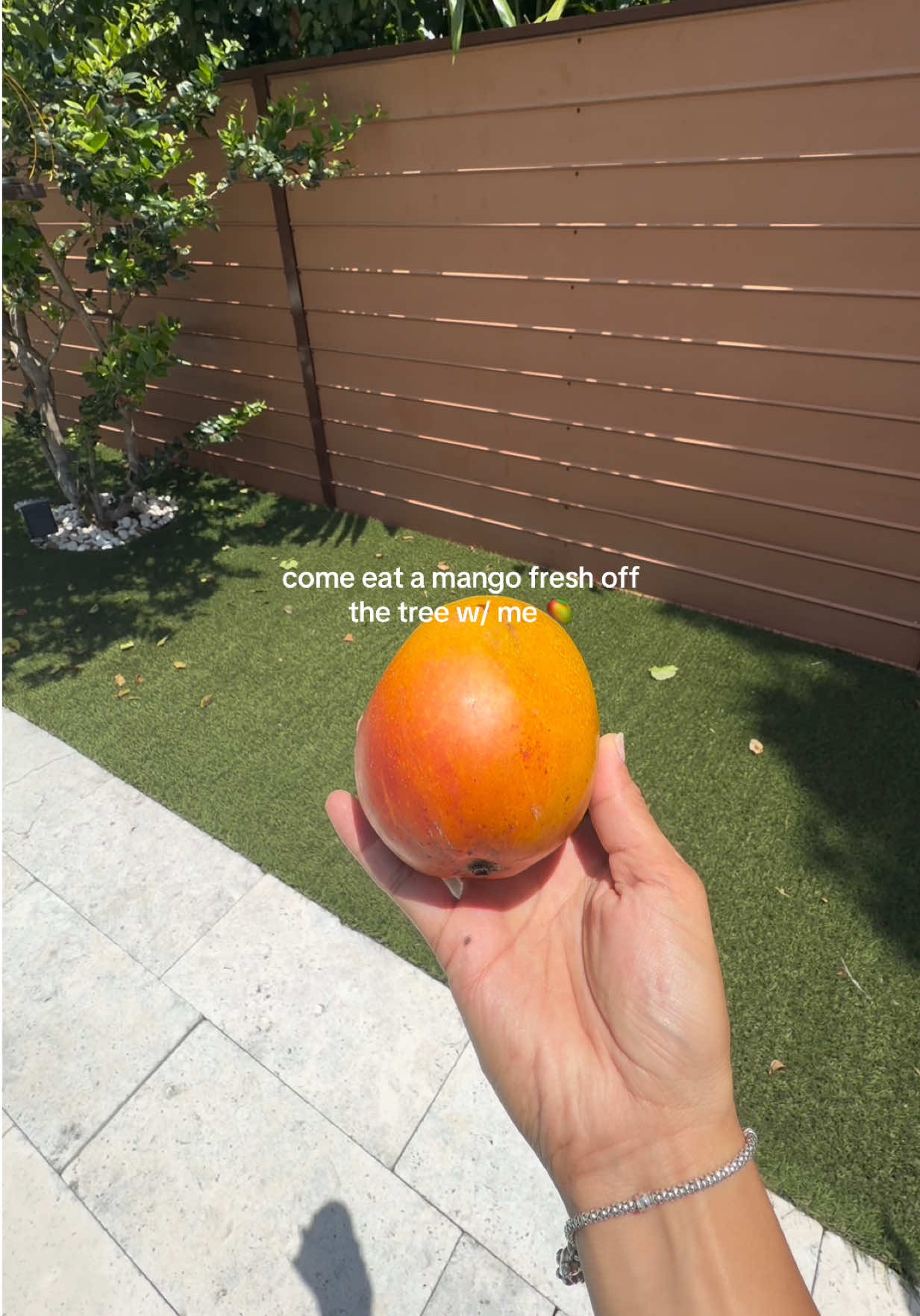 @Deja