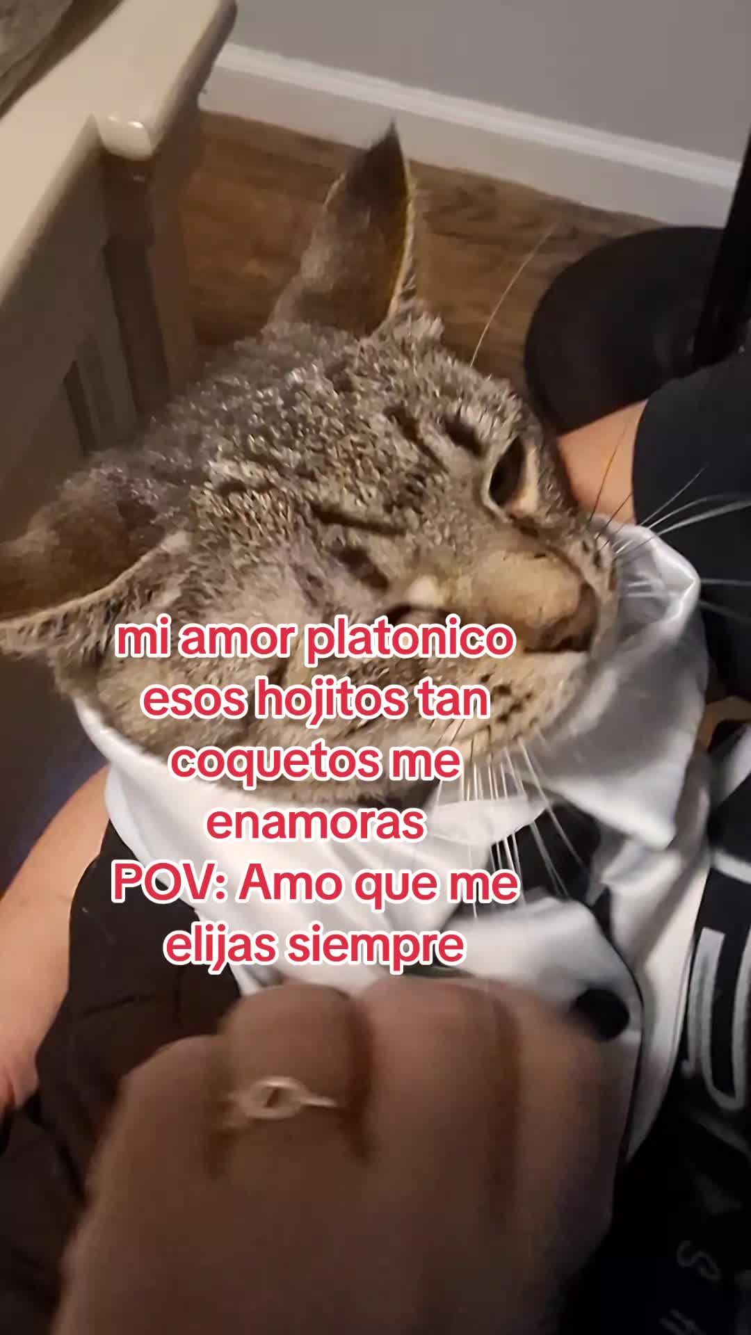 @Mamagatera20
