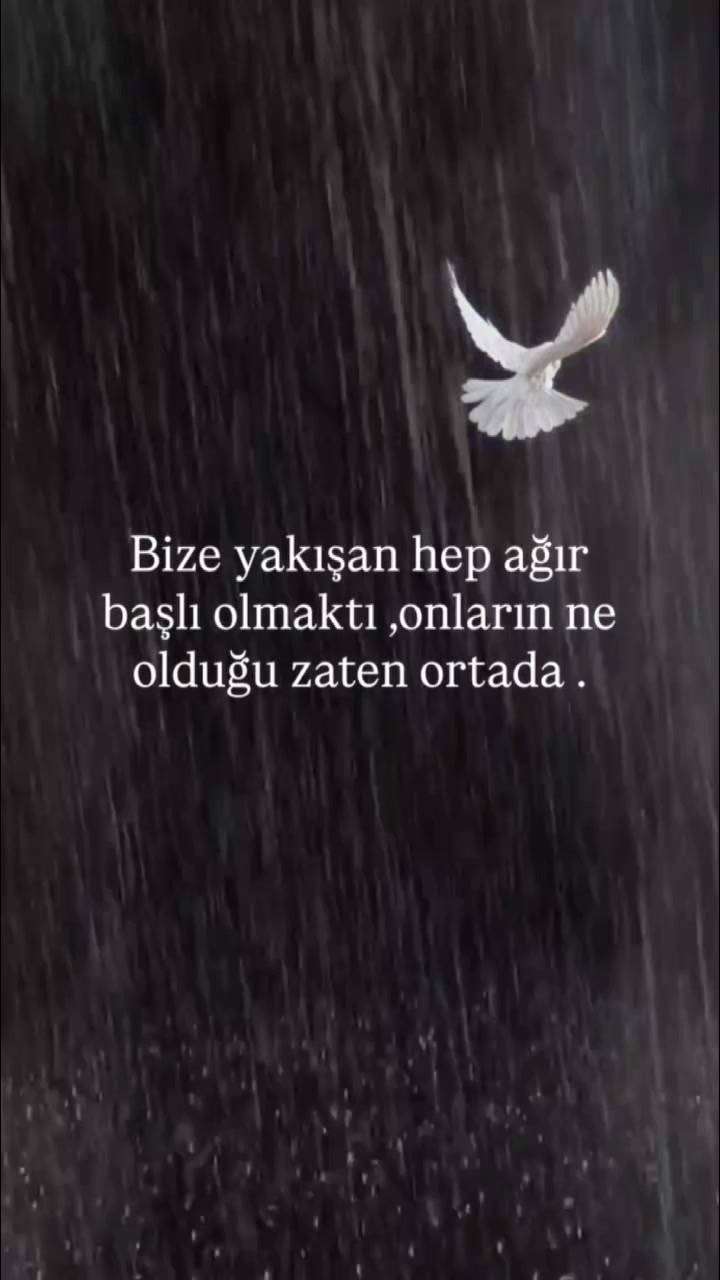 @Damar s&ouml;zler