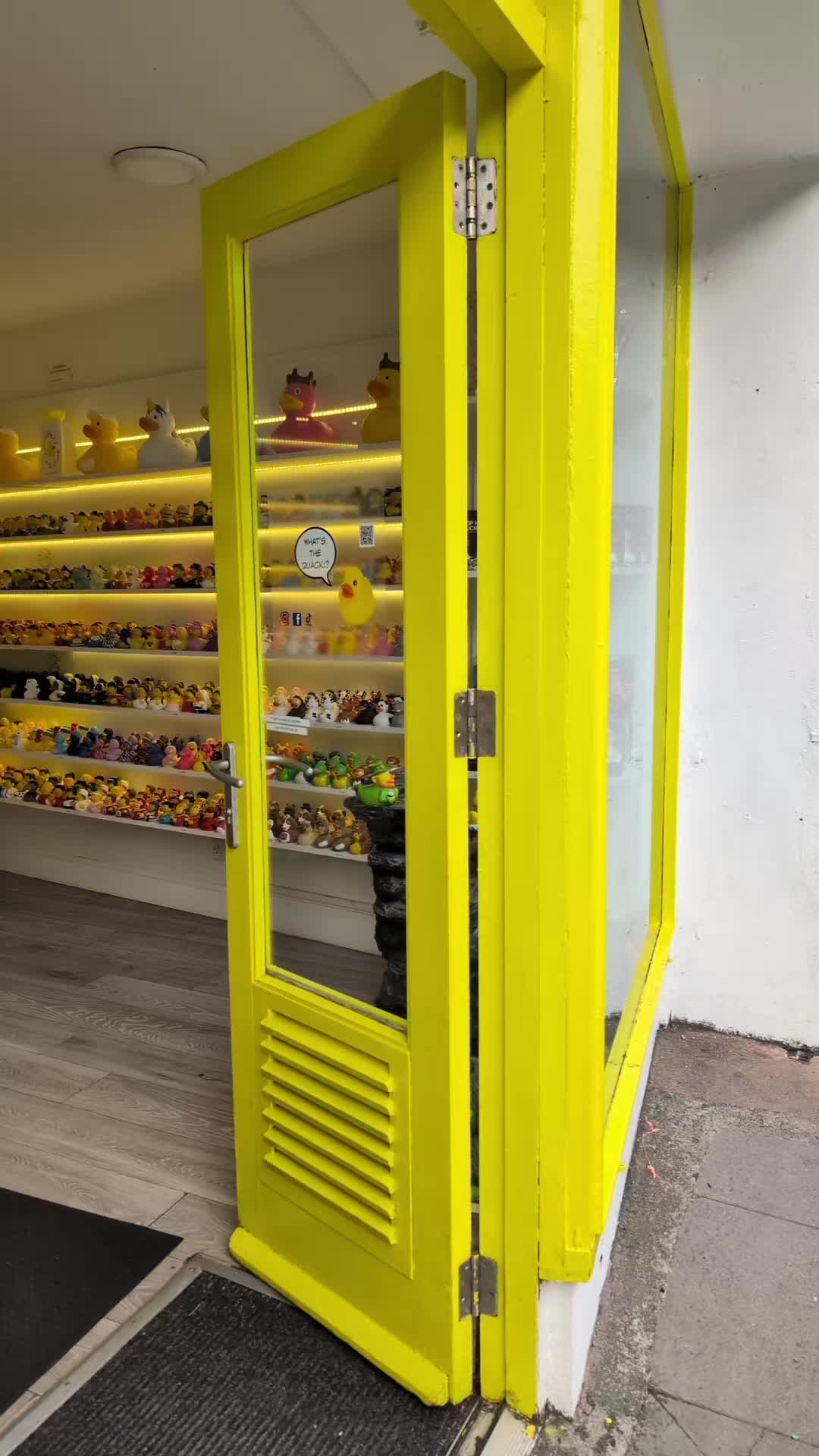 @Killarney Duck Store