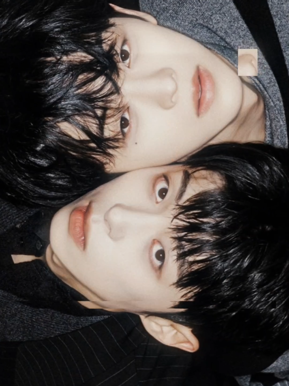 @roro🦇