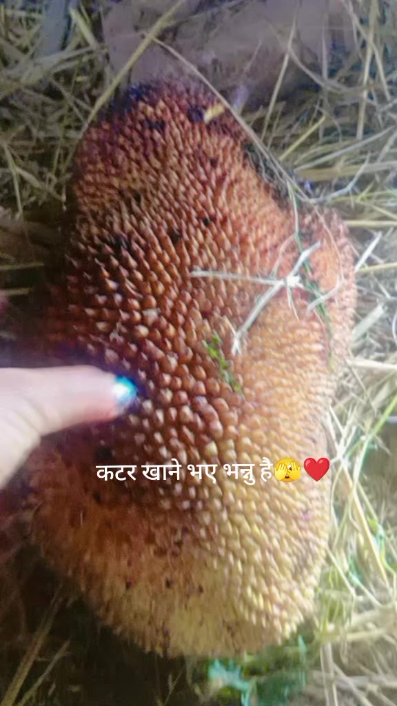 @july💓🤟