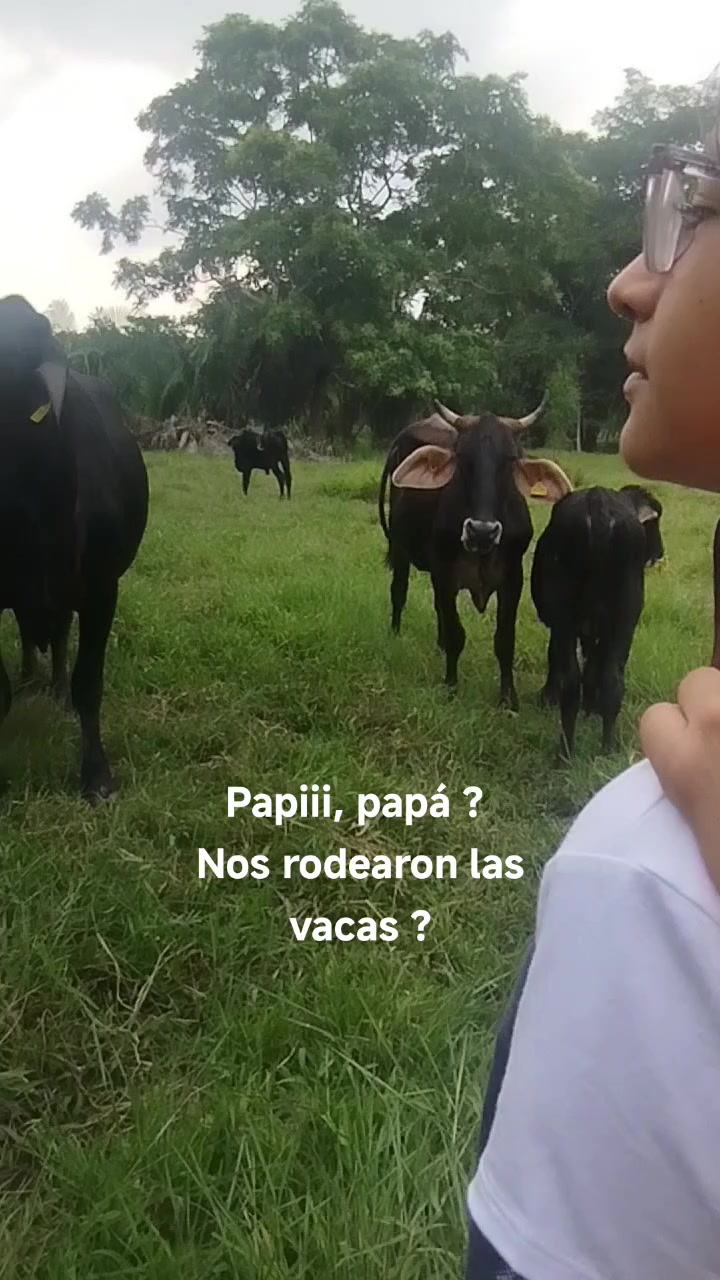 @Rompiendo ciclos