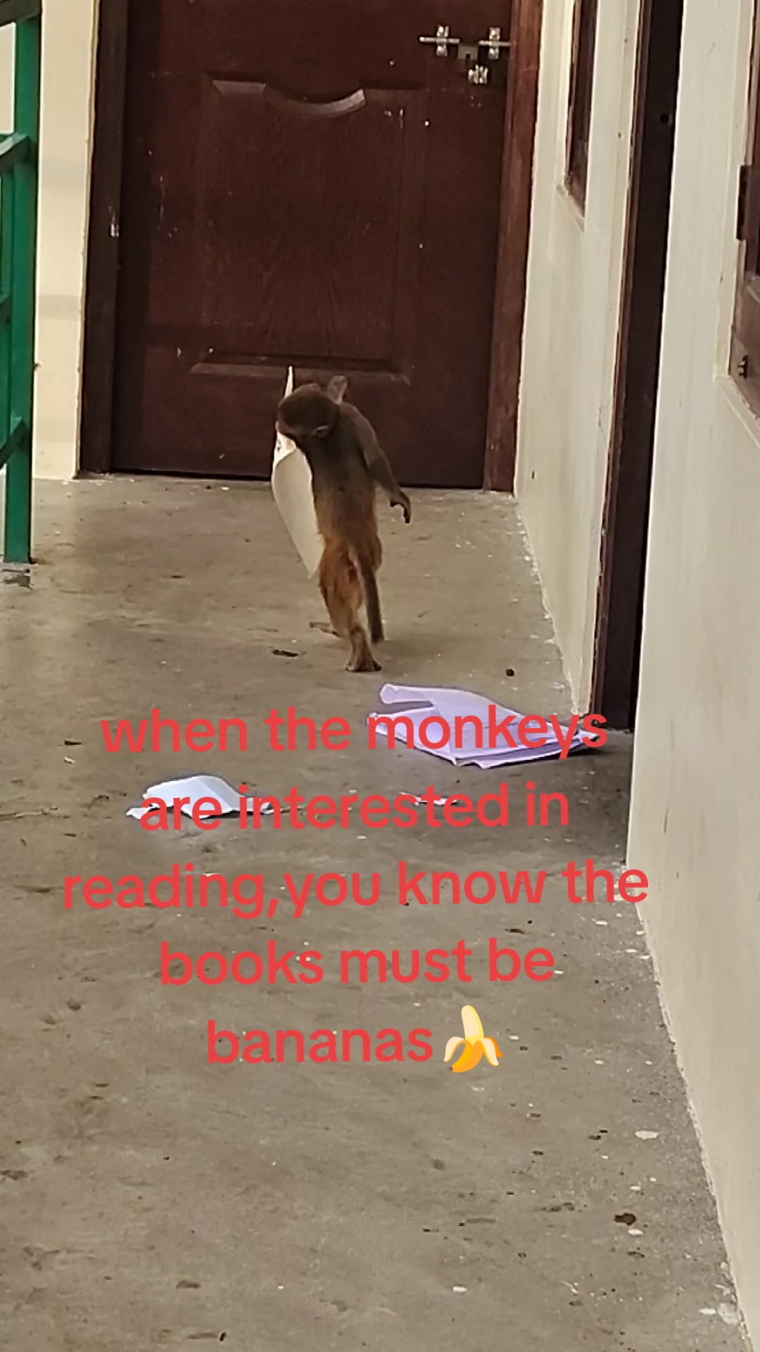 @Sovita