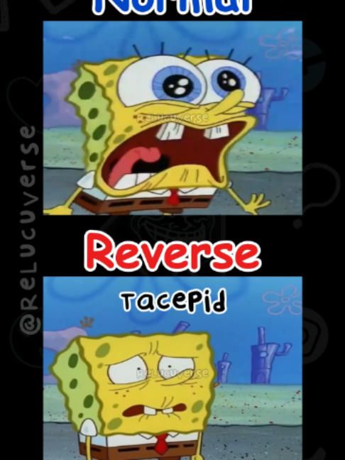 @ReLucuVerse