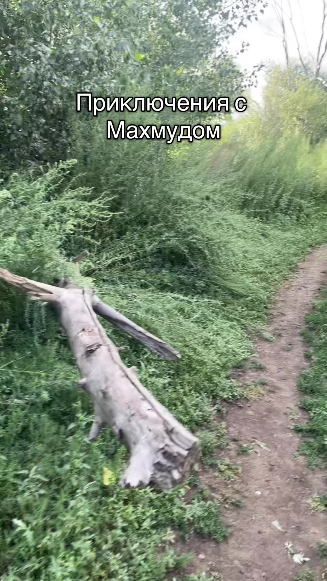 @Asanov_Abdulla