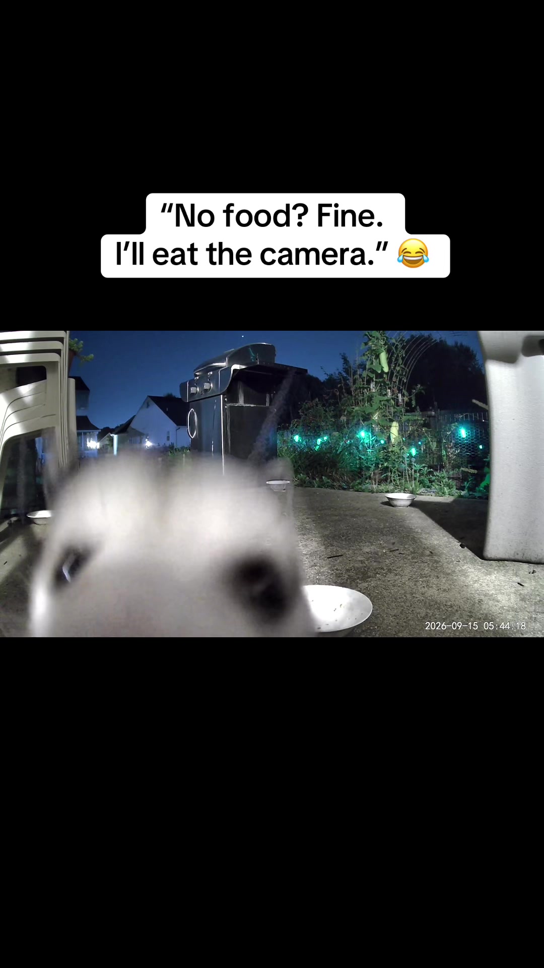 @ErinHessionWooton