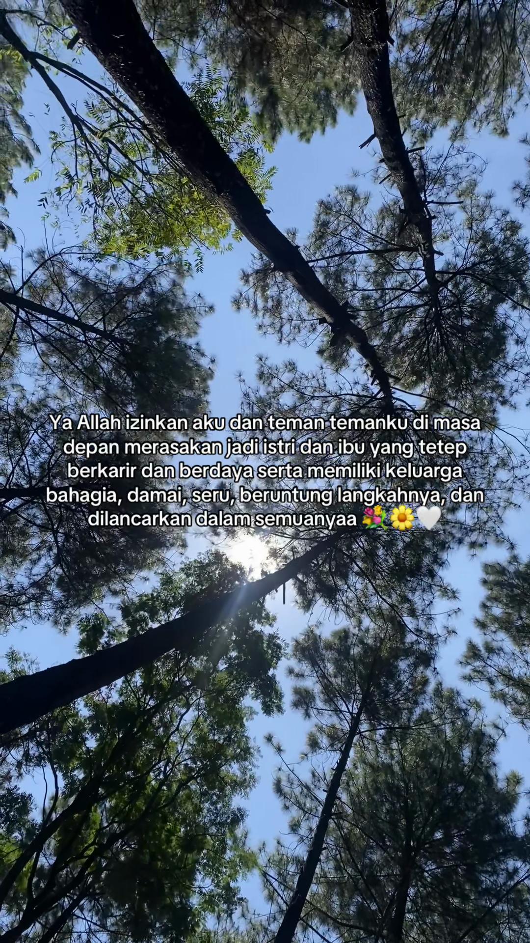 @erikaoctavionaaa