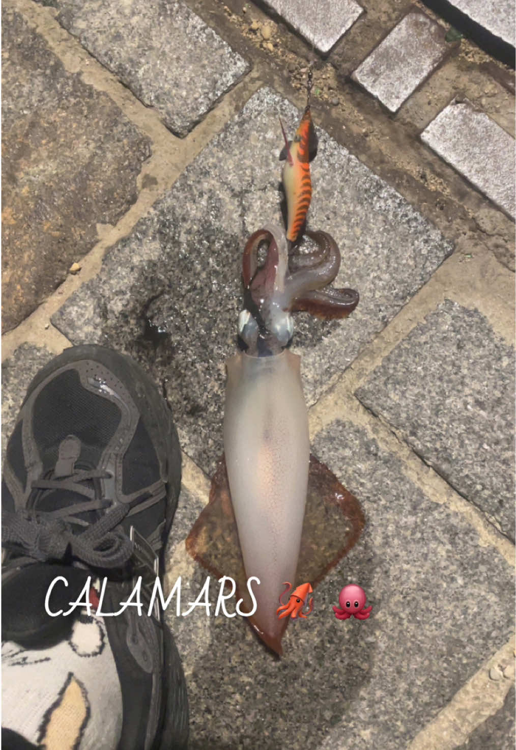 @P&ecirc;cheur Masqu&eacute;