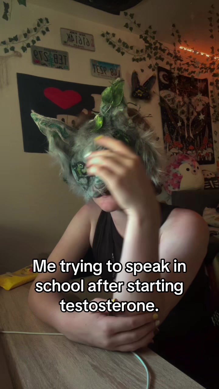 @─˚⊹🌿﹕ 𝙾𝚛𝚌𝚑𝚒𝚍 ﹕˖˚