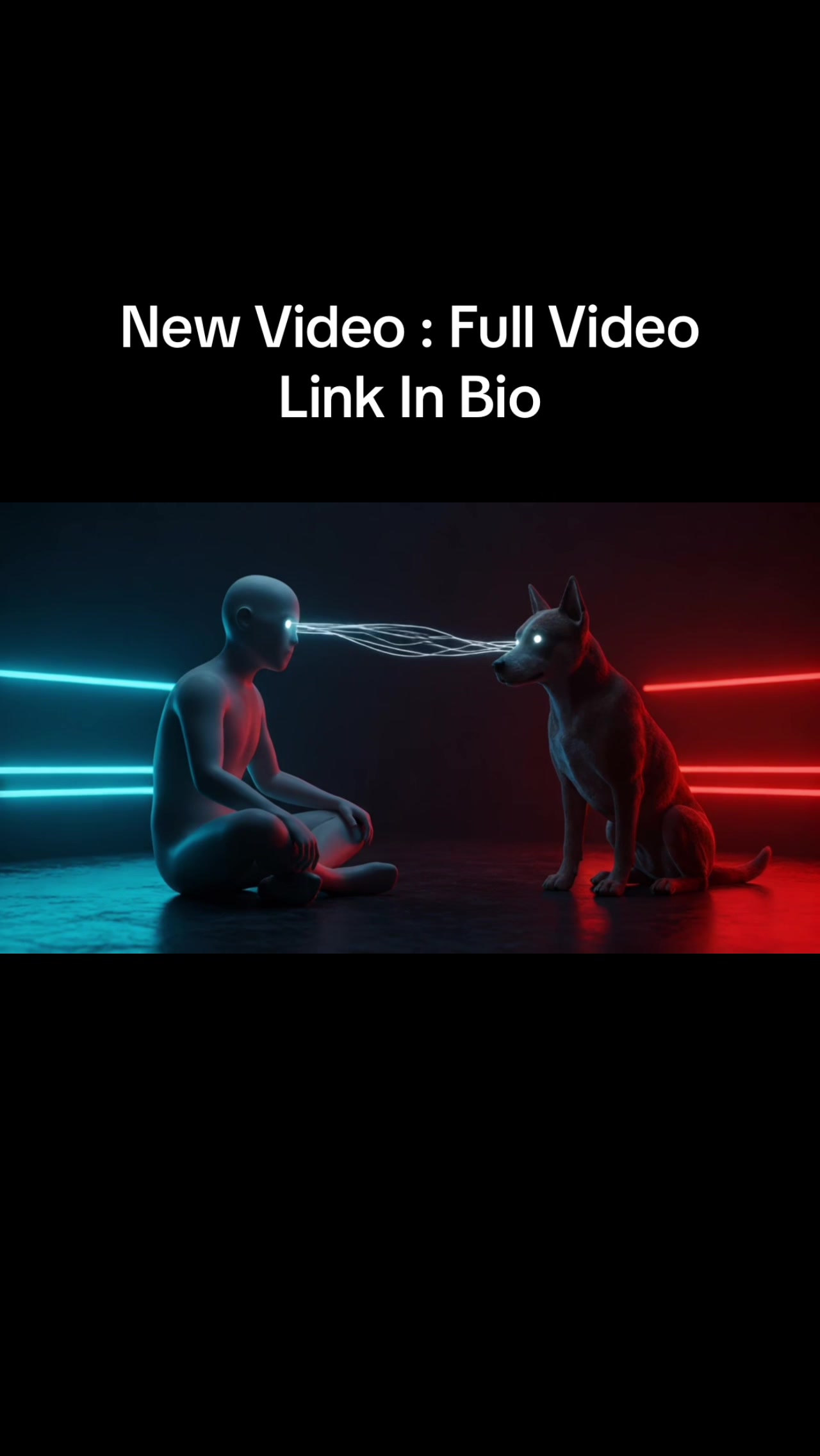 @K9 Kingz
