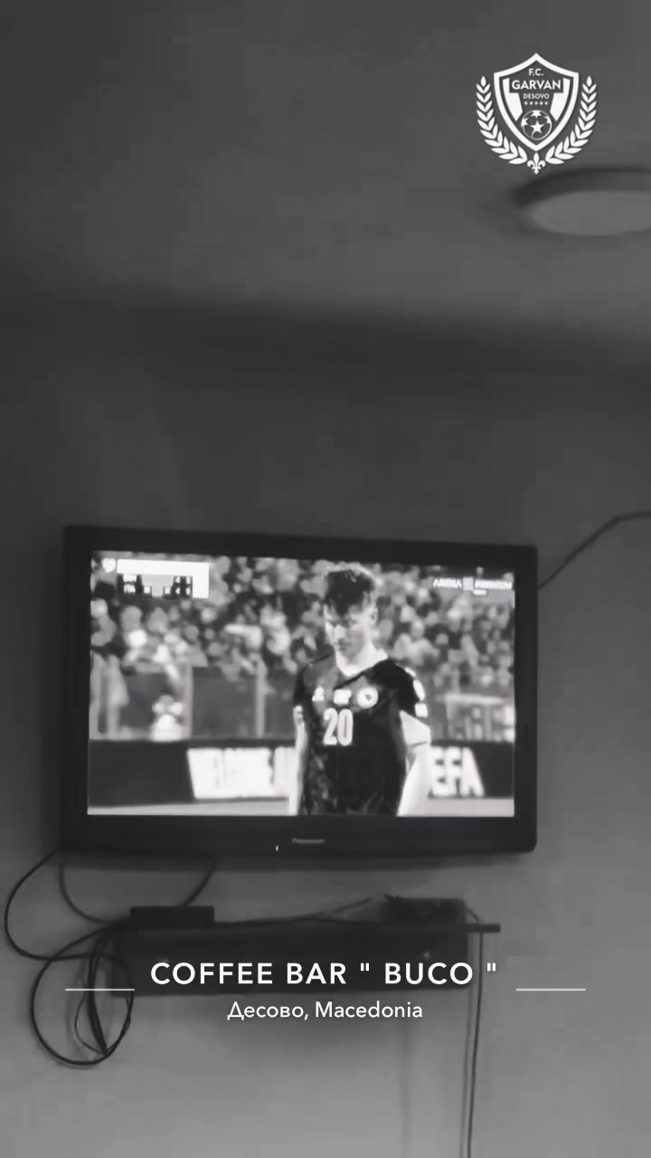 @fcgarvandesovo_official