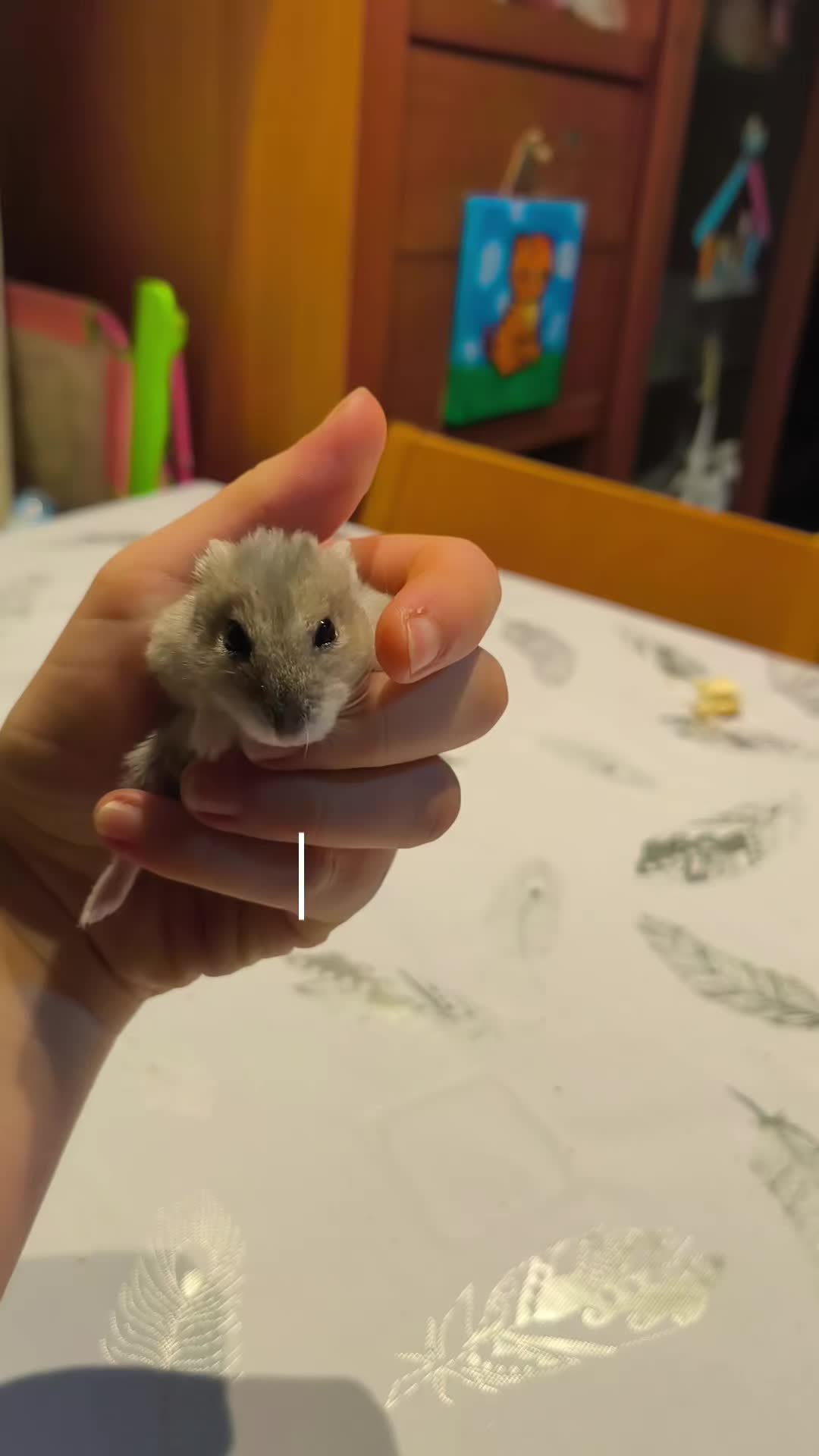 @◆🐹🅽︎ 🆈︎ 🅲︎🤍◆