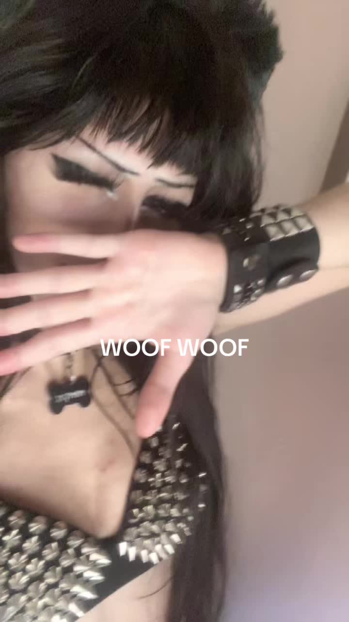@r4venbarkz