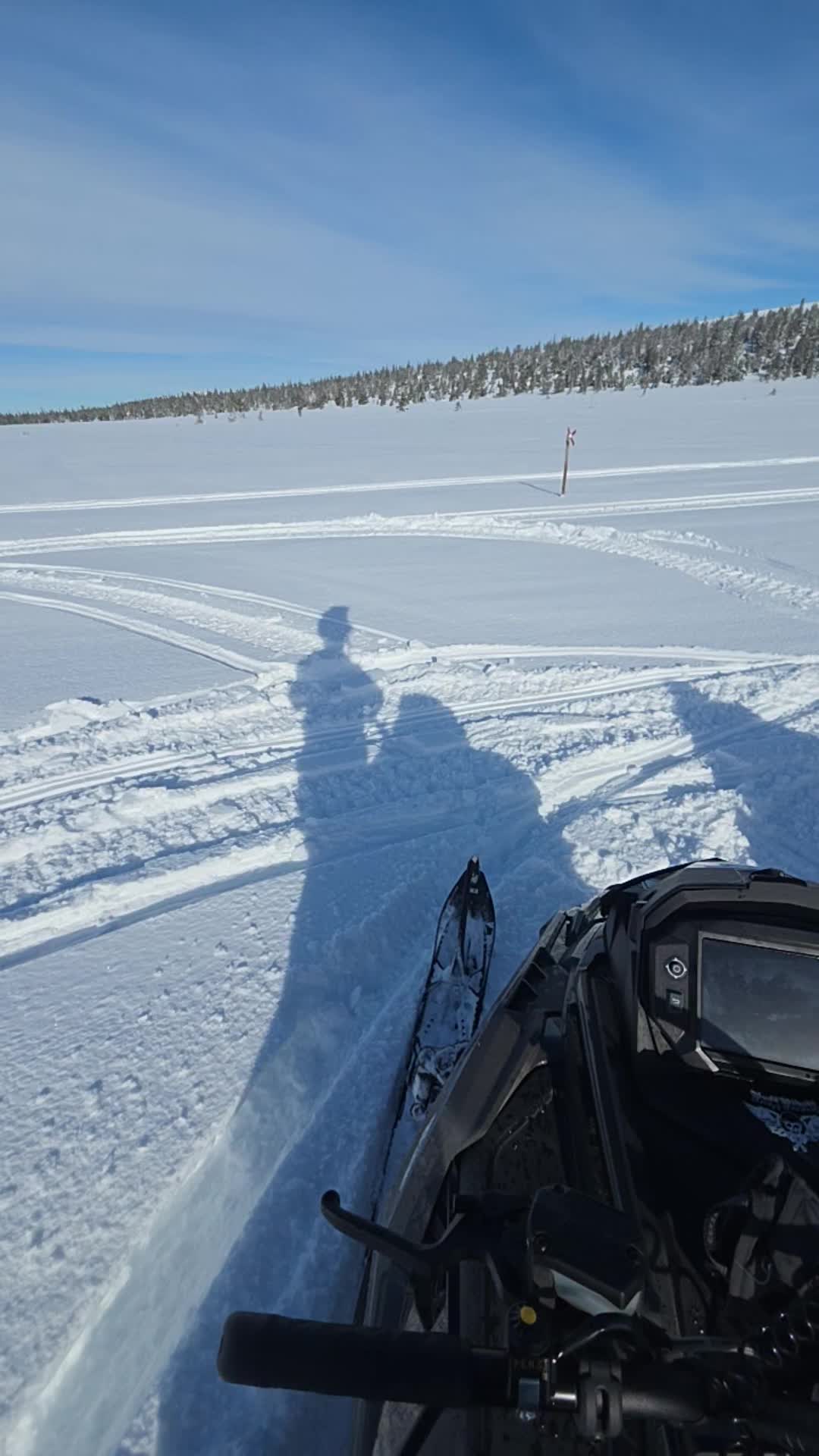 @Oskar Åström
