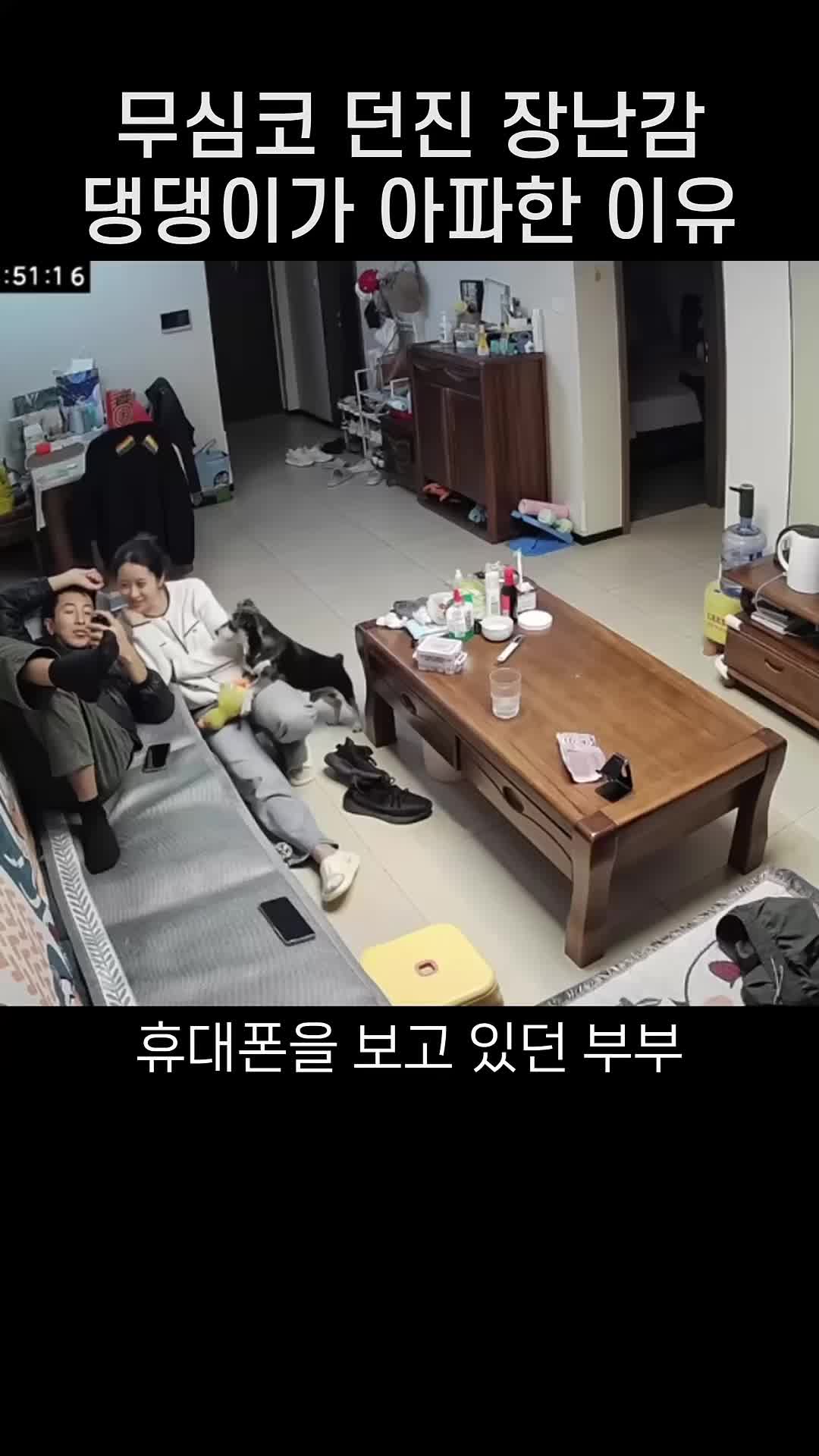 @짱아까미