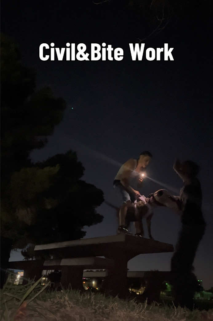 @C.White Owner/Creator: MMA