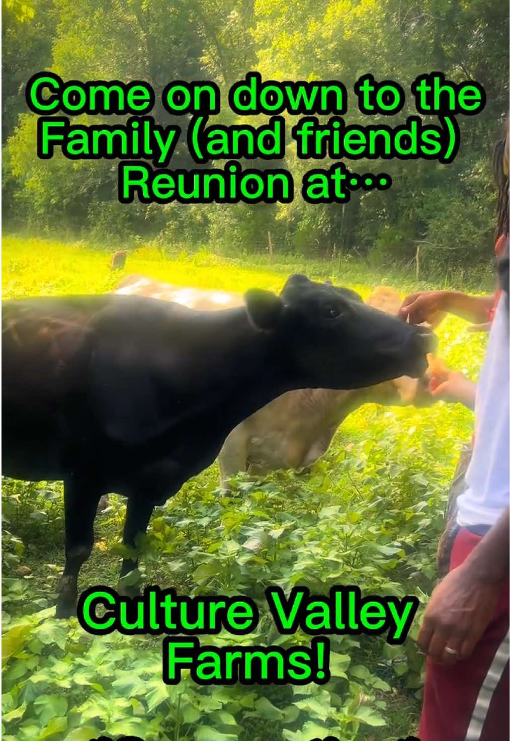 @bluacres