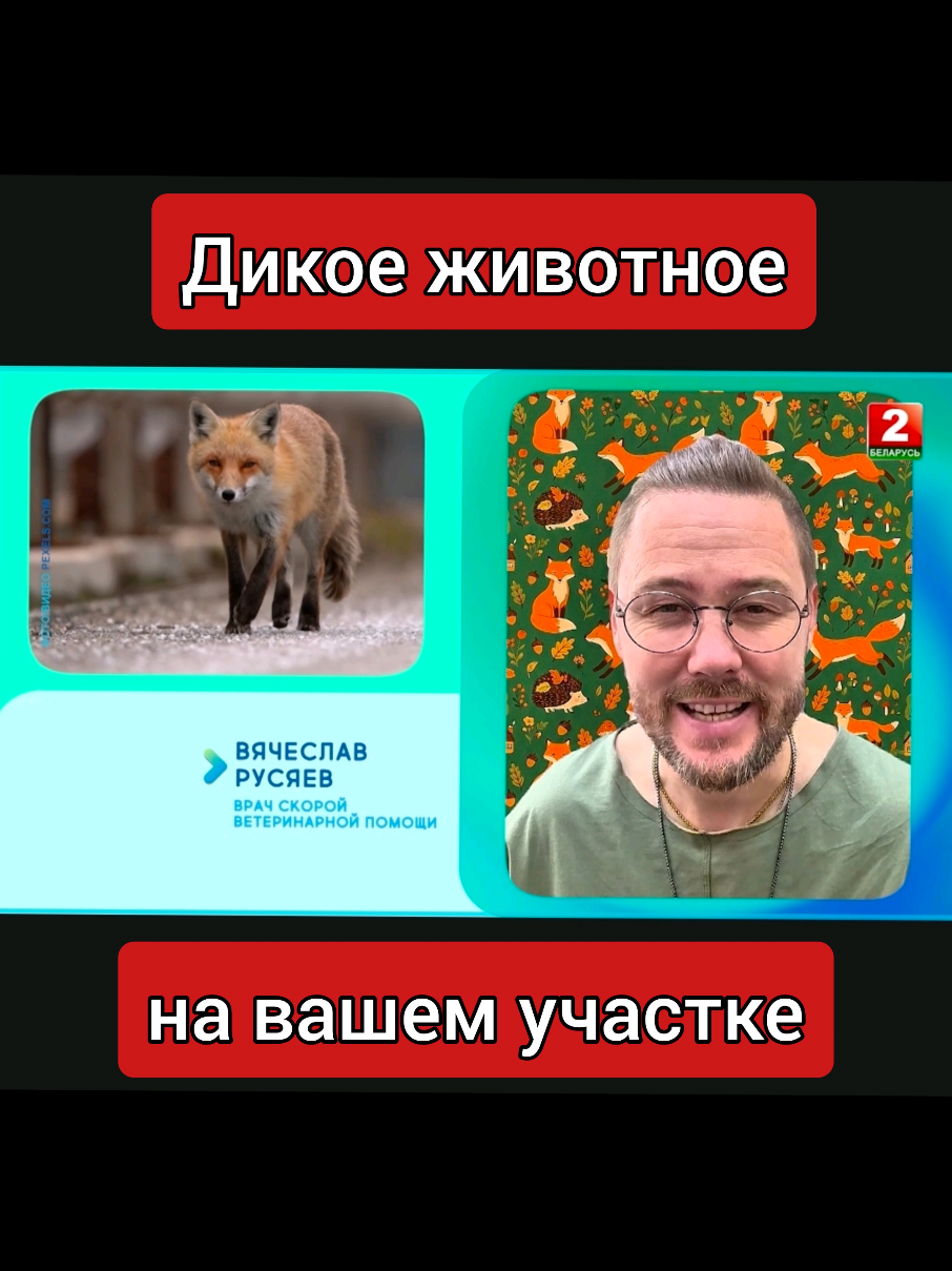 @slavrus_vet