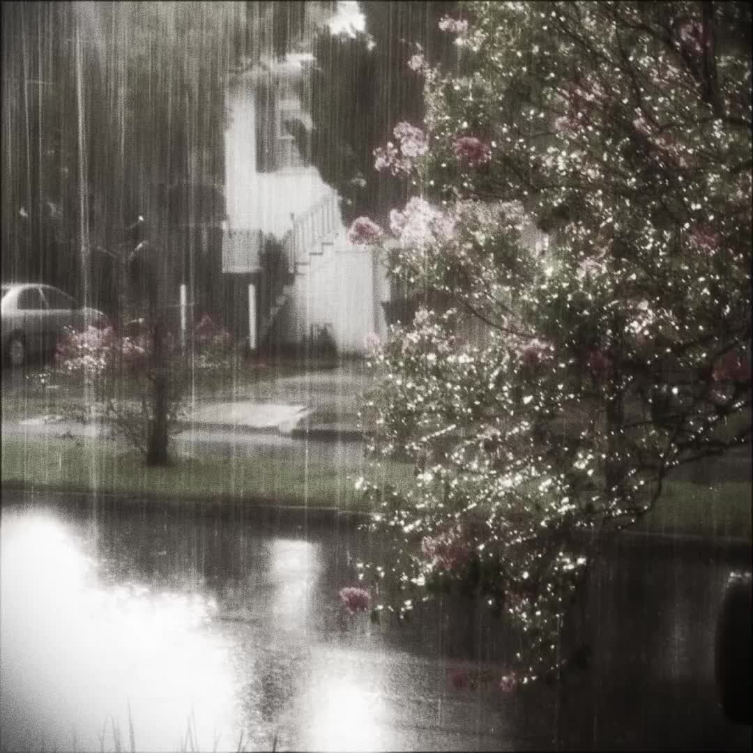 @ᴍʙ.ʀᴀʏʟɪ