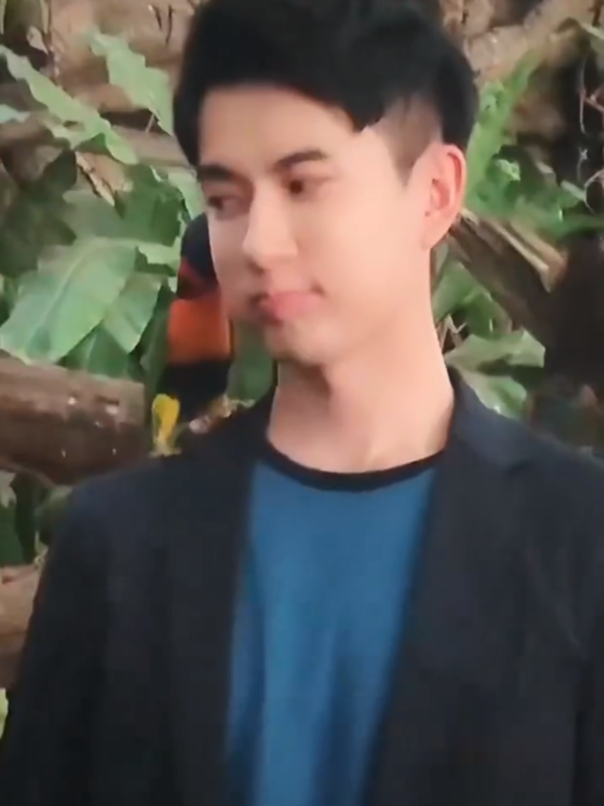 @于朦胧🍋